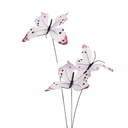 Decoratie tak met vlinders 10x10x65 cm