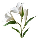 Rami Artificiali Decorativi con fiori Bianco Verde 17x12x71 cm