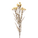 Decoratie tak met bloemen 77 cm