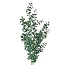 Decoratie tak 8x3x70 cm