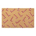 Deurmat 75x45x1 cm