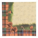 Papieren servetten 33x33 cm (20)