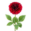 Decoratie tak met bloemen 65 cm