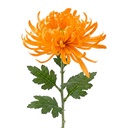 Decoratie tak met bloemen 76 cm