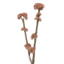 Decoratie tak met bloemen 6x6x58 cm
