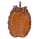 Decoratieve schaal 56x34x6 cm