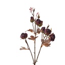 Branche de décoration avec fleurs Rouge Marron 16x9x73 cm