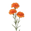Decoratie tak met bloemen