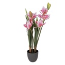 Decoratie kunstplant Cattleya Hybrida 14x14x55 cm