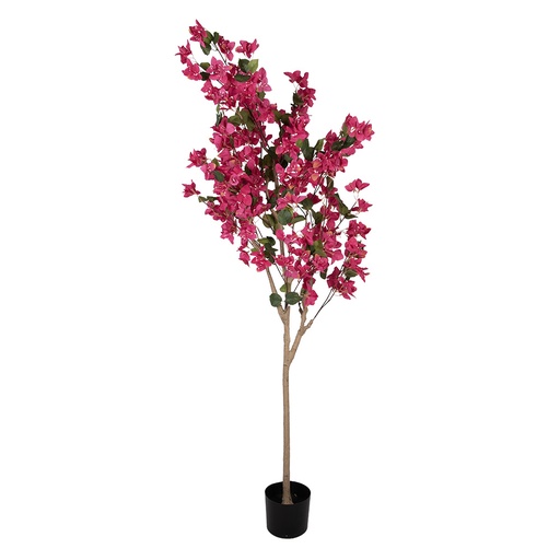 Decoratie Bougainvillea boom 40x40x180 cm