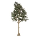 Decoratie olijf boom 170x150x320 cm
