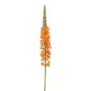 Decoratie tak met bloemen