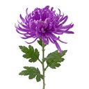 Decoratie tak met bloemen 76 cm