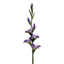 Decoratie tak met bloemen 92 cm