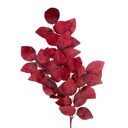 Decoratie tak 93 cm