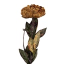 Kunstbloem 10x10x65 cm
