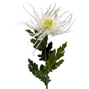 Decoratie tak met bloemen 73 cm