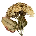 Rami Artificiali Decorativi con fiori Beige Verde 15x15x47 cm