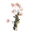 Decoratie tak met bloemen 14x14x120 cm