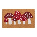 Deurmat 75x45x1 cm
