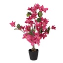 Decoratie Bougainvillea boom 25x25x60 cm
