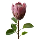 Kunstbloem 10x10x65 cm