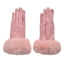 Handschuhe Winter Rosa 9x24 cm