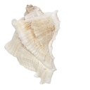 Deurknop 7x5x6 cm / S3 cm
