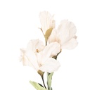 Decoratie tak met bloemen 10x18x85 cm