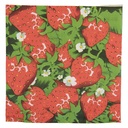 Papieren servetten 33x33 cm (20)