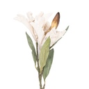 Rami Artificiali Decorativi con fiori Beige Verde 12x16x88 cm
