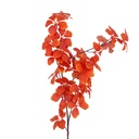 Decoratie tak 80 cm