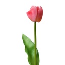 Kunstbloem tulp 4x4x32 cm