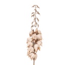 Decoratie tak met bloemen 12x12x100 cm