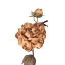 Decoratie tak met bloemen 14x17x73 cm