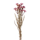 Decoratie tak met bloemen 77 cm