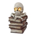 Decoratie boeken met schedel 30x25x47 cm