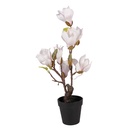 Decoratie Magnolia boom 12x12x40 cm