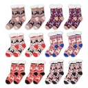 Sokken one size multi set van 12 paar