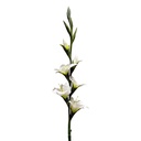 Decoratie tak met bloemen 92 cm