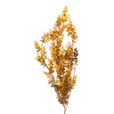 Decoratie tak 90 cm