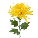 Decoratie tak met bloemen 76 cm